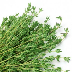 thyme