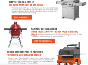 buying guide bbq