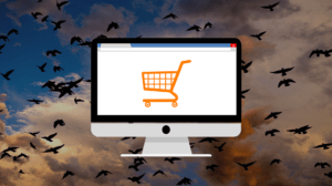 Group-Cloud-Group-Of-Birds-Birds-Nature-Migration-1976981 | Digital Marketing and eCommerce Development Company
