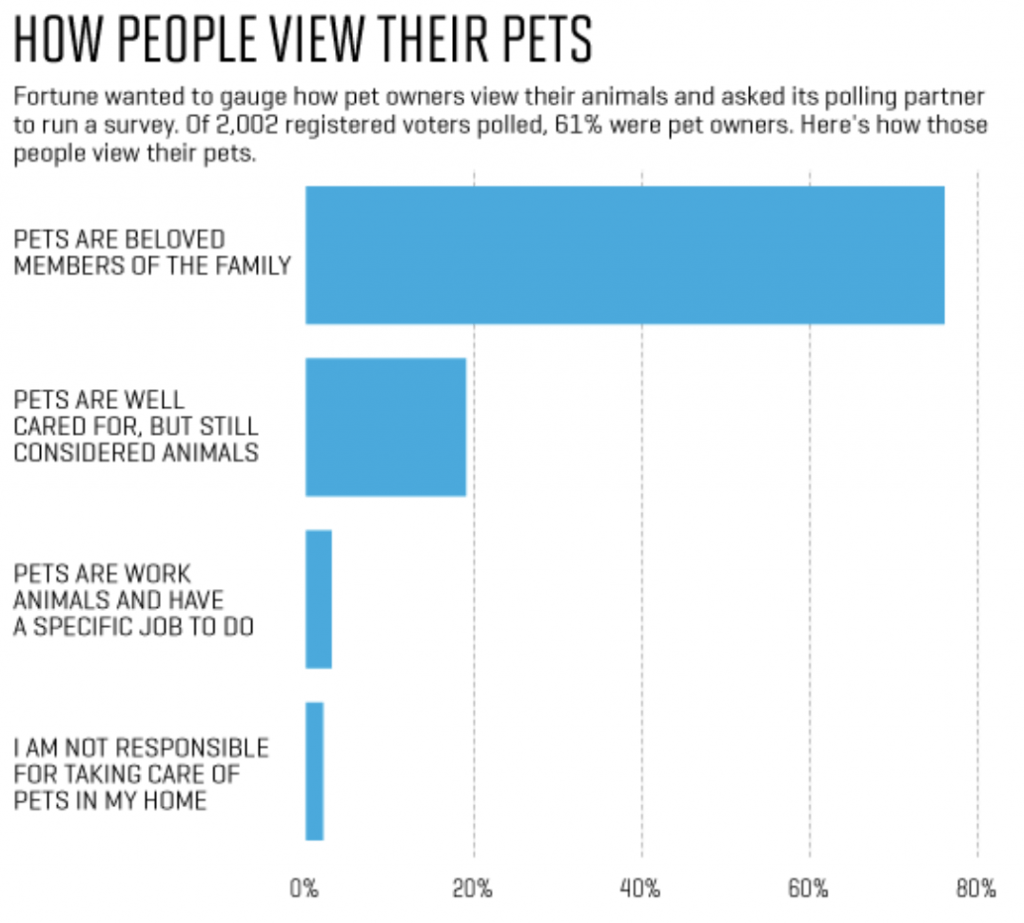 How to Market Pet Products Online in 2022