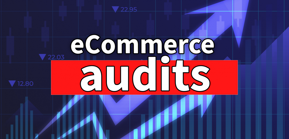 E-Commerce Audits and Custom Development for Publicly Traded Companies