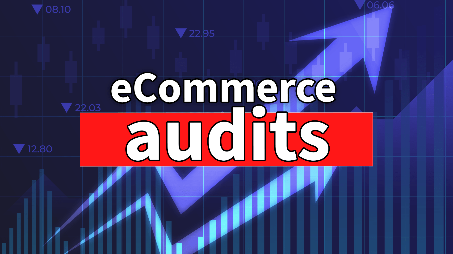 eCommerce Audits and Custom Development for Publicly Traded Companies