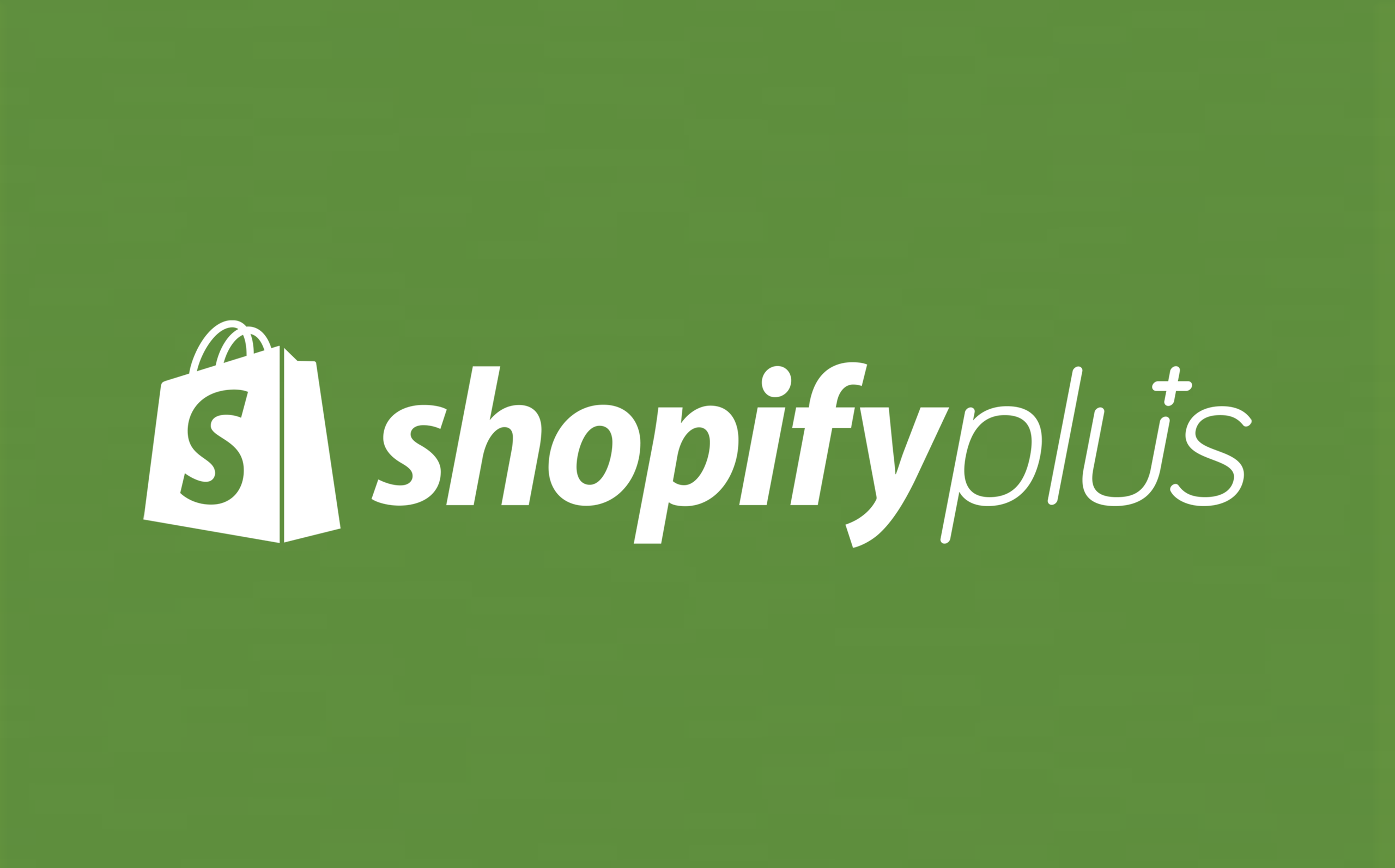 Shopify Plus B2B company profile dashboard showing company locations and payment terms assignment