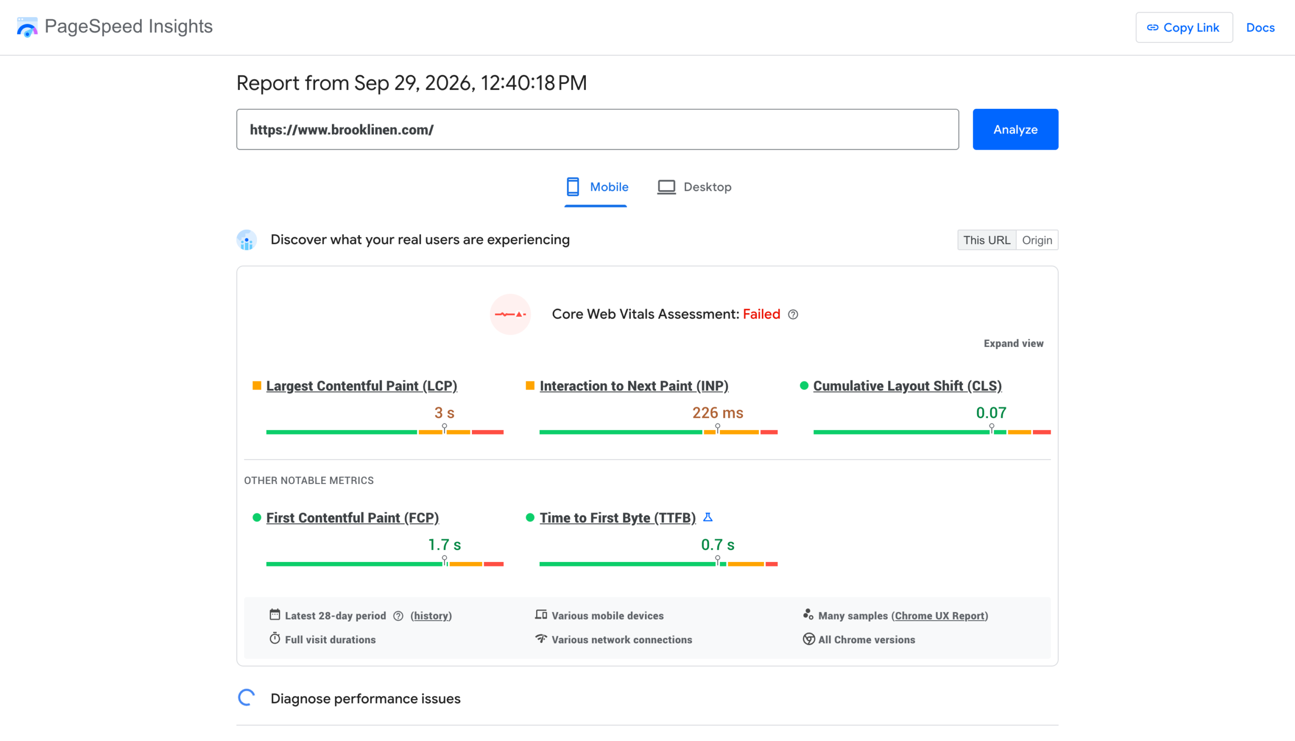 A PageSpeed report with Core Web Vitals results for a live store, covering LCP, INP, and CLS scores